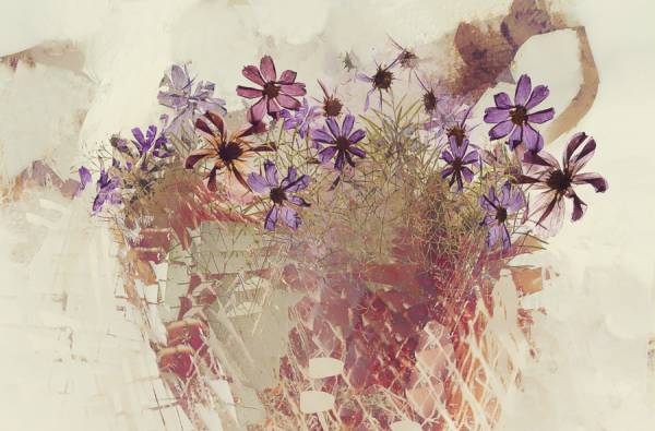 Bloemen